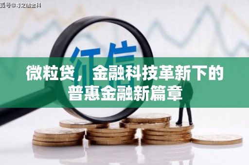 天水微粒贷，金融科技革新下的普惠金融新篇章