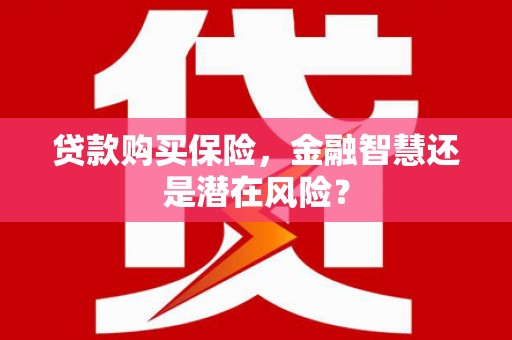 天水贷款购买保险，金融智慧还是潜在风险？