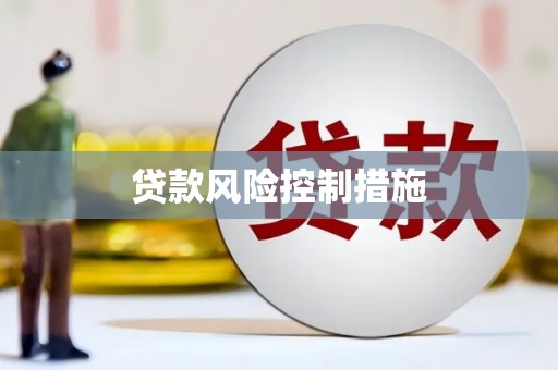 天水贷款风险控制措施