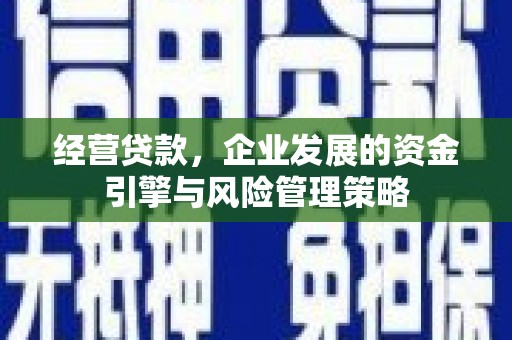 天水经营贷款，企业发展的资金引擎与风险管理策略