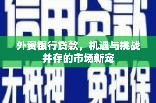 天水外资银行贷款，机遇与挑战并存的市场新宠