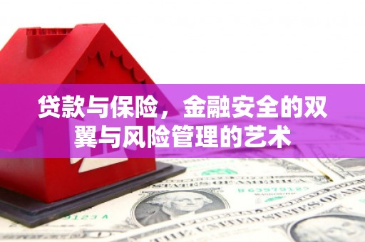 天水贷款与保险，金融安全的双翼与风险管理的艺术