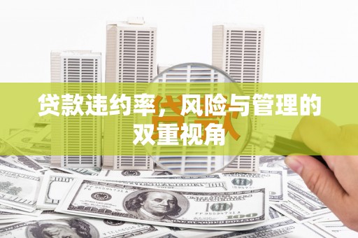天水贷款违约率，风险与管理的双重视角