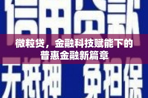 天水微粒贷，金融科技赋能下的普惠金融新篇章