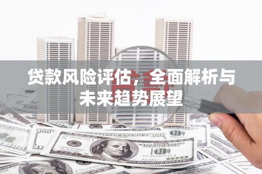 天水贷款风险评估，全面解析与未来趋势展望