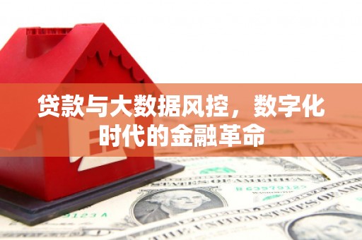 天水贷款与大数据风控，数字化时代的金融革命