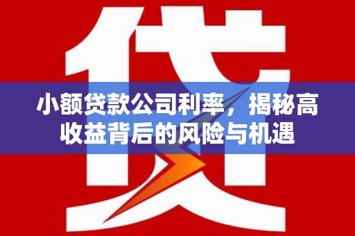 天水小额贷款公司利率，揭秘高收益背后的风险与机遇