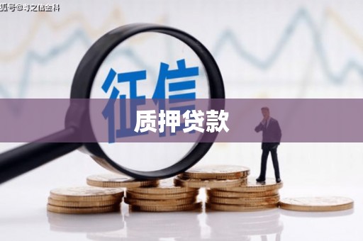 天水质押贷款
