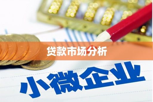 天水贷款市场分析