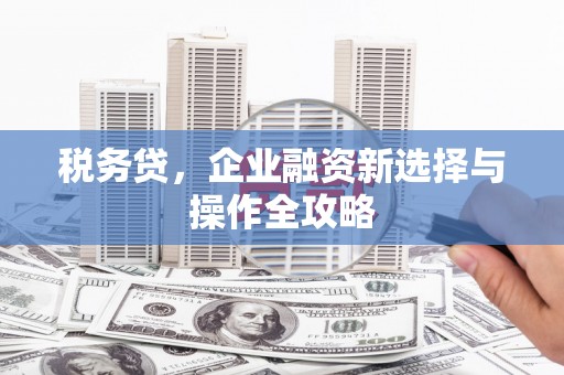 天水税务贷，企业融资新选择与操作全攻略