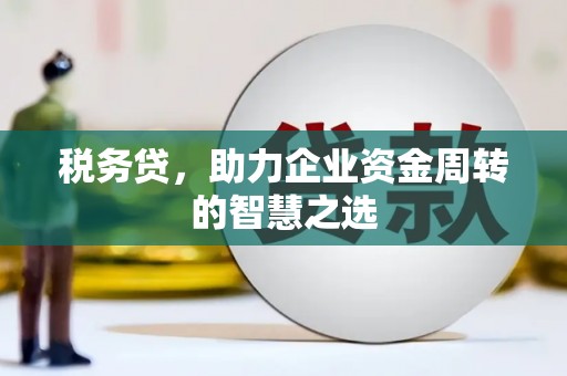 天水税务贷，助力企业资金周转的智慧之选