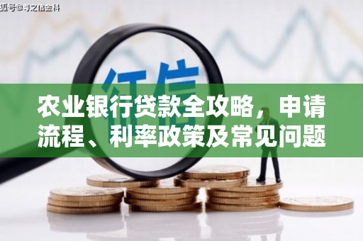 天水农业银行贷款全攻略，申请流程、利率政策及常见问题解析