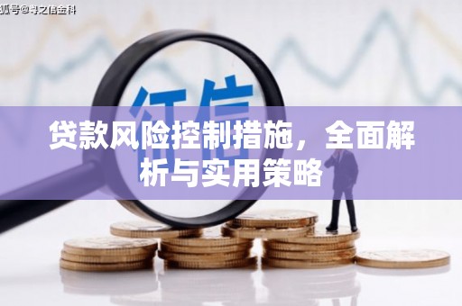天水贷款风险控制措施，全面解析与实用策略
