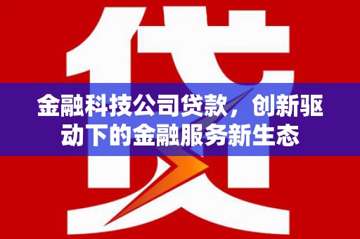 天水金融科技公司贷款，创新驱动下的金融服务新生态