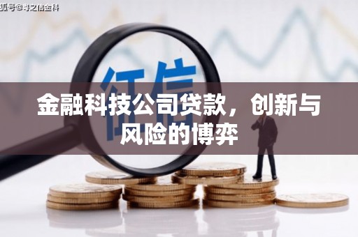 天水金融科技公司贷款，创新与风险的博弈