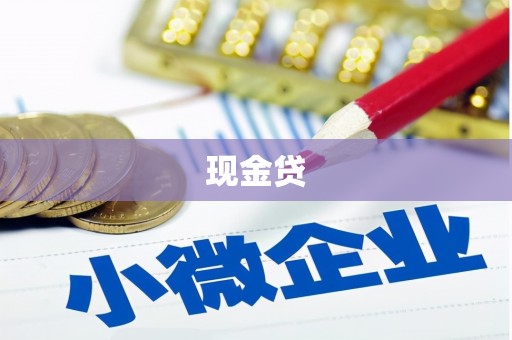 天水现金贷