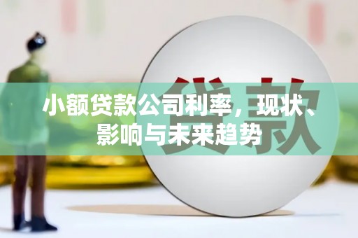 天水小额贷款公司利率，现状、影响与未来趋势