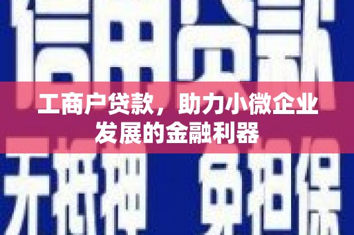 天水工商户贷款，助力小微企业发展的金融利器