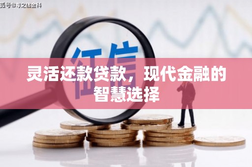 天水灵活还款贷款，现代金融的智慧选择