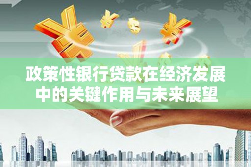 天水政策性银行贷款在经济发展中的关键作用与未来展望