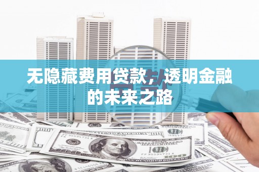 天水无隐藏费用贷款，透明金融的未来之路