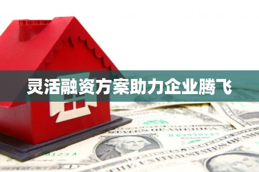 天水灵活融资方案助力企业腾飞