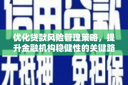 天水优化贷款风险管理策略，提升金融机构稳健性的关键路径