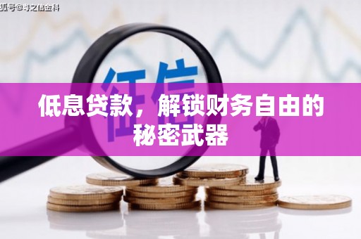 天水低息贷款，解锁财务自由的秘密武器