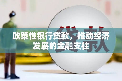 天水政策性银行贷款，推动经济发展的金融支柱