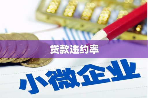天水贷款违约率