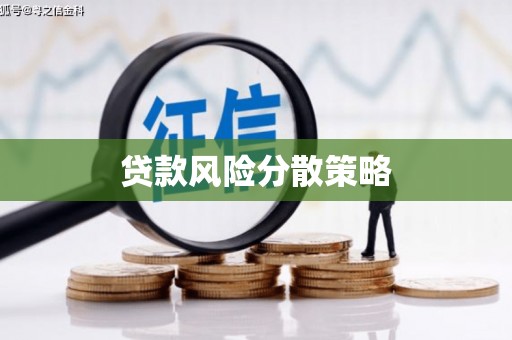 天水贷款风险分散策略
