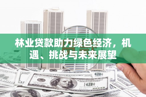 天水林业贷款助力绿色经济，机遇、挑战与未来展望