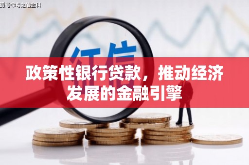 天水政策性银行贷款，推动经济发展的金融引擎