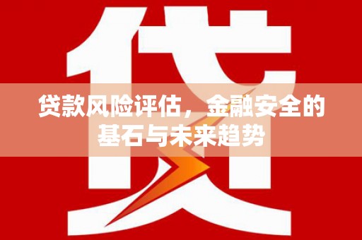 天水贷款风险评估，金融安全的基石与未来趋势