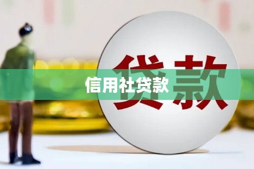 天水信用社贷款