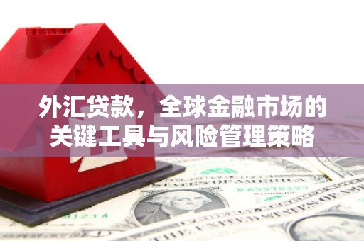 天水外汇贷款，全球金融市场的关键工具与风险管理策略