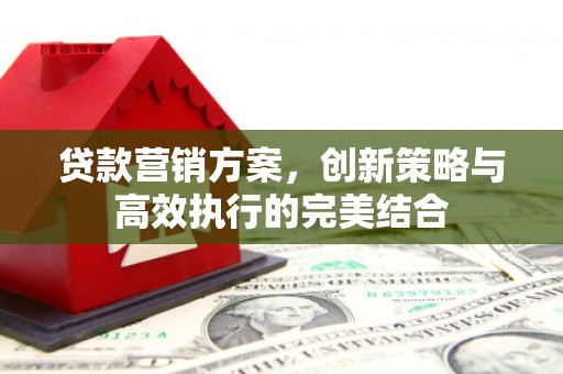 天水贷款营销方案，创新策略与高效执行的完美结合