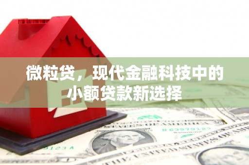 天水微粒贷，现代金融科技中的小额贷款新选择