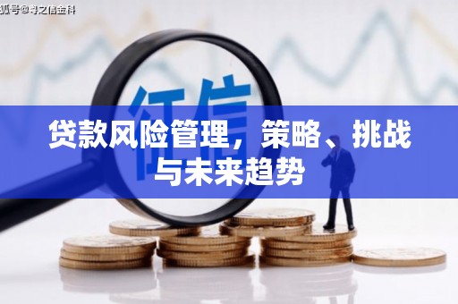 天水贷款风险管理，策略、挑战与未来趋势