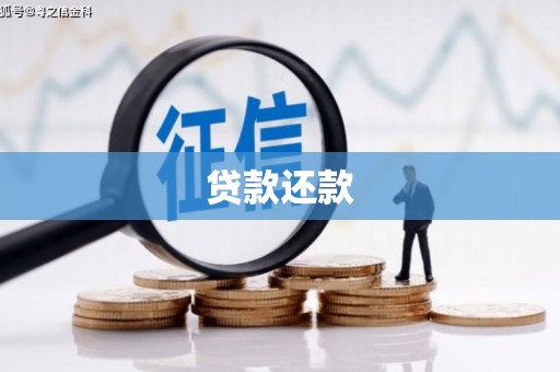 天水贷款还款
