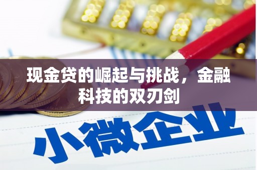 天水现金贷的崛起与挑战，金融科技的双刃剑