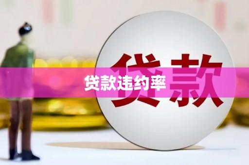 天水贷款违约率