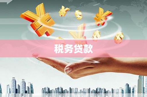 天水税务贷款