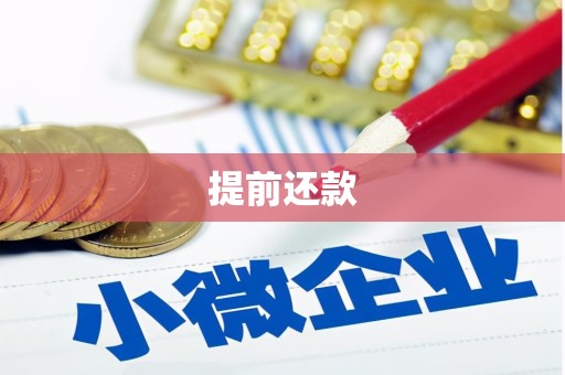 天水提前还款