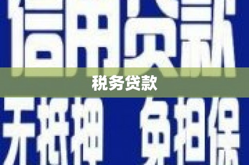 天水税务贷款