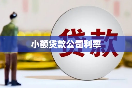 天水小额贷款公司利率