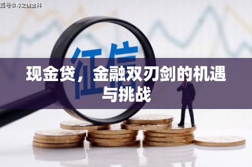 天水现金贷，金融双刃剑的机遇与挑战