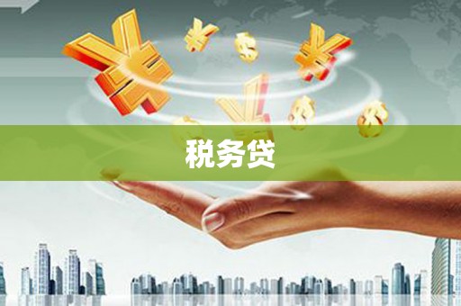 天水税务贷