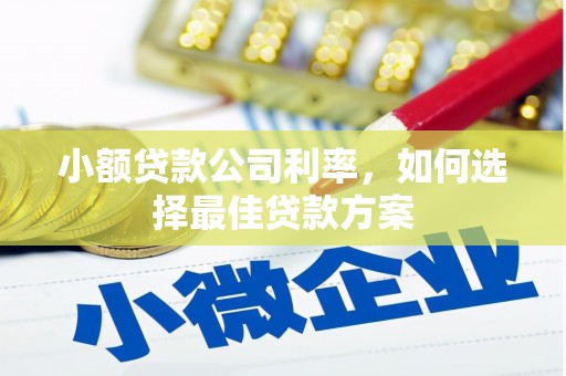 天水小额贷款公司利率，如何选择最佳贷款方案