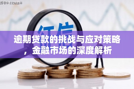天水逾期贷款的挑战与应对策略，金融市场的深度解析